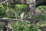 safrica_dec_13_image79.jpg